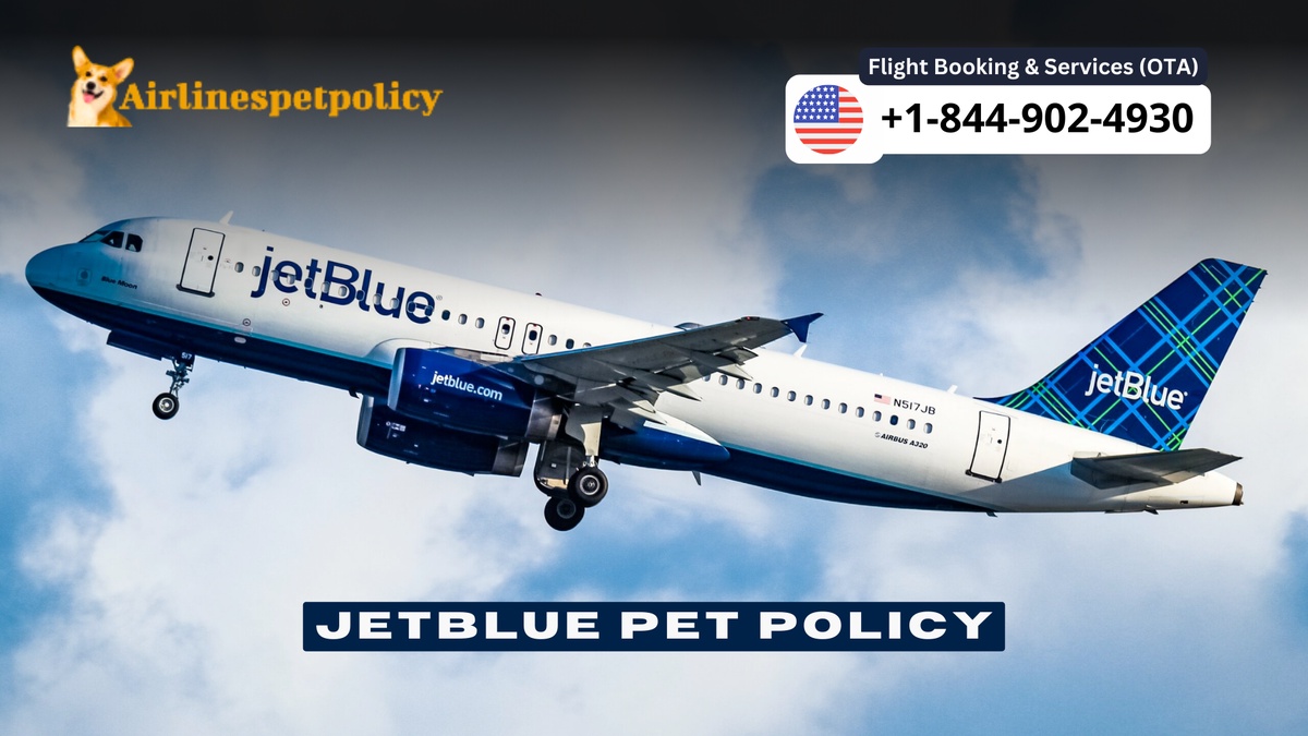 JetBlue Pet Policy - Cargo, In Cabin & Carrier Guidelines