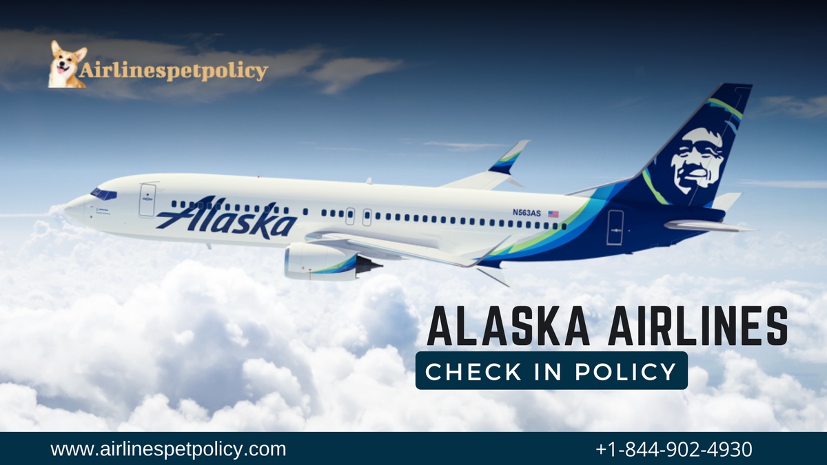 Alaska Airlines Check In | Everything You Need to Know