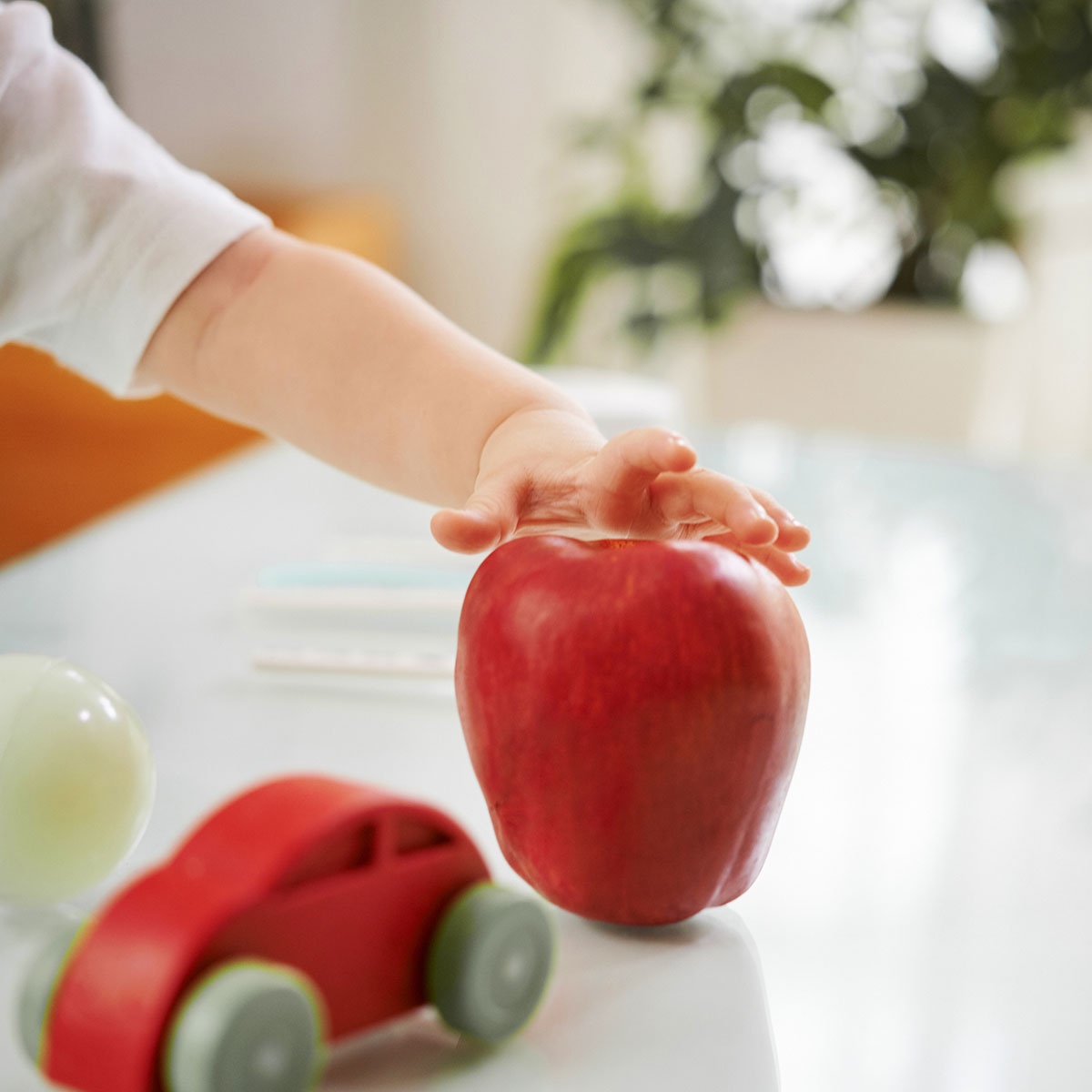 Choosing the Right Meal Plan for Your child