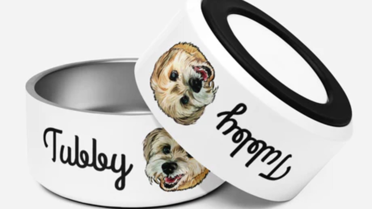 Why To Invest In Personalized Pet Bowls for Furry Buddy