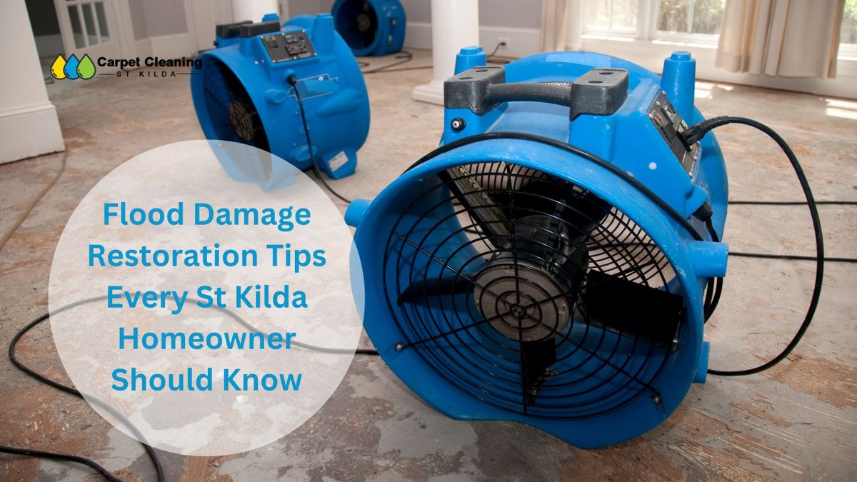 Flood Damage Restoration Tips Every St Kilda Homeowner Should Know
