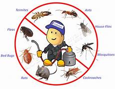 Benefits Of Hiring Pest Control Professionals Over DIY methods