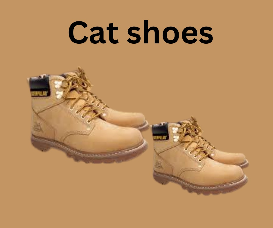 Strut in Style: Cat Shoes Price in Pakistan for Every Budget