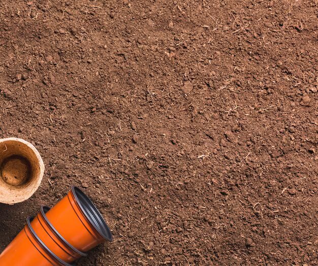 Digging Deeper: Unveiling the Secrets of Top Soil