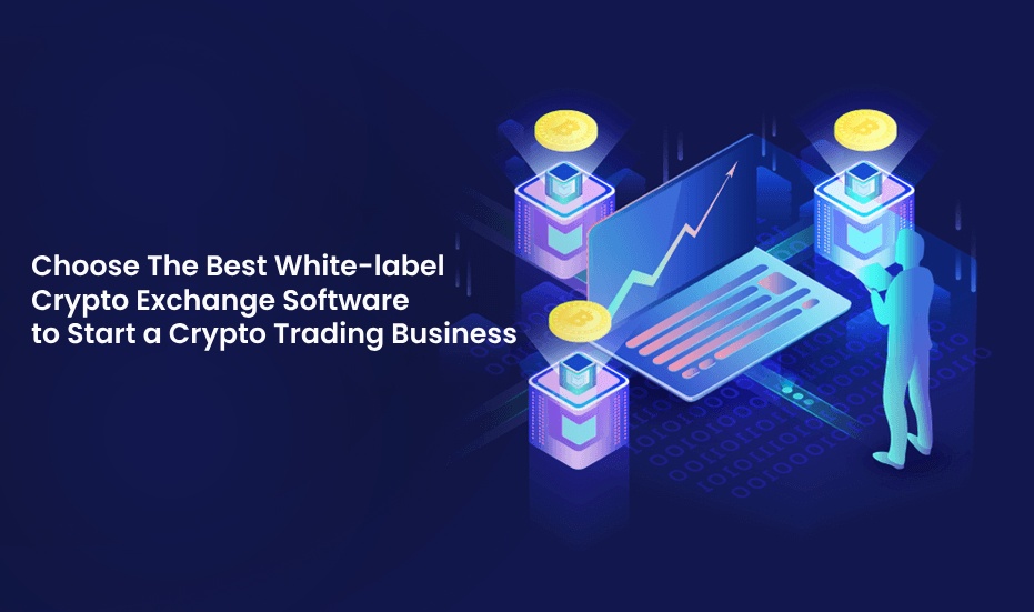 Choose The Best White-label Crypto Exchange Software to Start a Crypto Trading Business