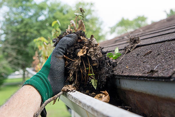 Expert Gutter Cleaning Tips to Prepare Your Home For the Changing Weather
