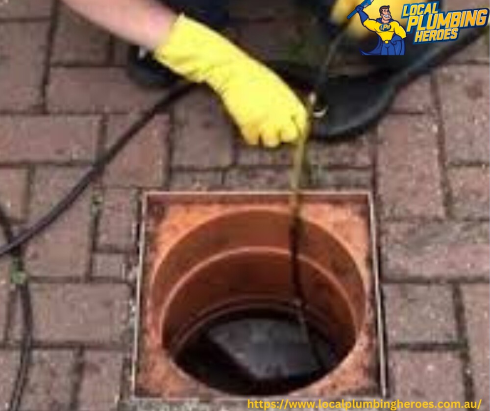 Discussing 3 Harmful Effects of a Blocked Drain on Human Life and Property.