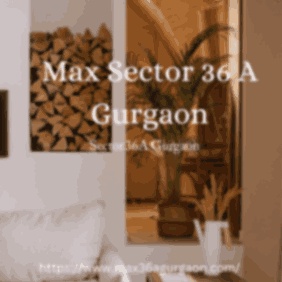 Unlock the Magic of Max Sector 36 A Gurgaon