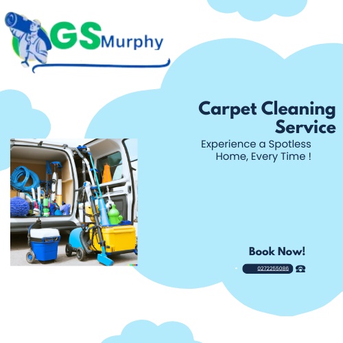 Eco-Friendly Carpet Cleaning: Safe Solutions for Your Home