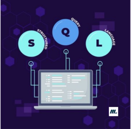 Top SQL Queries Every Data Analyst Should Master