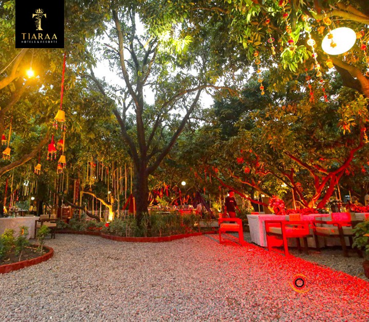 Discover the Perfect Wedding Venues in Jim Corbett for Your Dream Destination Wedding in the Wilderness