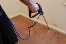 The Importance of Regular Carpet Cleaning: Ensuring a Healthy Living Environment in Attadale