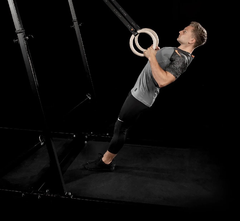 Understanding the Anatomy of the Deltoid: Exploring Inverted Rows and the Squat Assist Machine