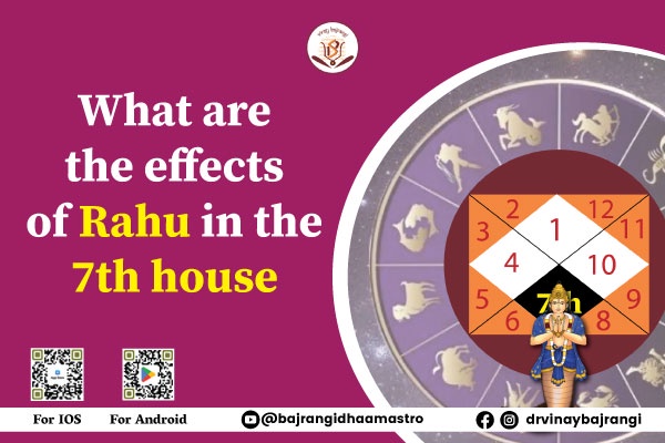 What are the effects of Rahu in the 7th house