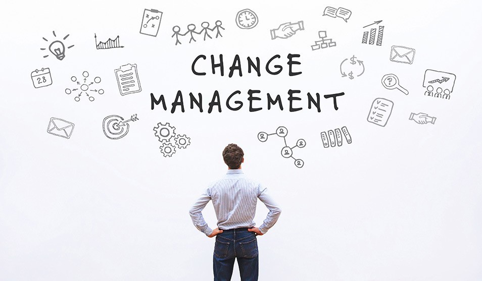 Navigating Change: Strategies and Insights in Change Management