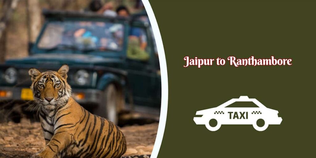 Wilderness Journey: Jaipur to Ranthambore Taxi Excursions