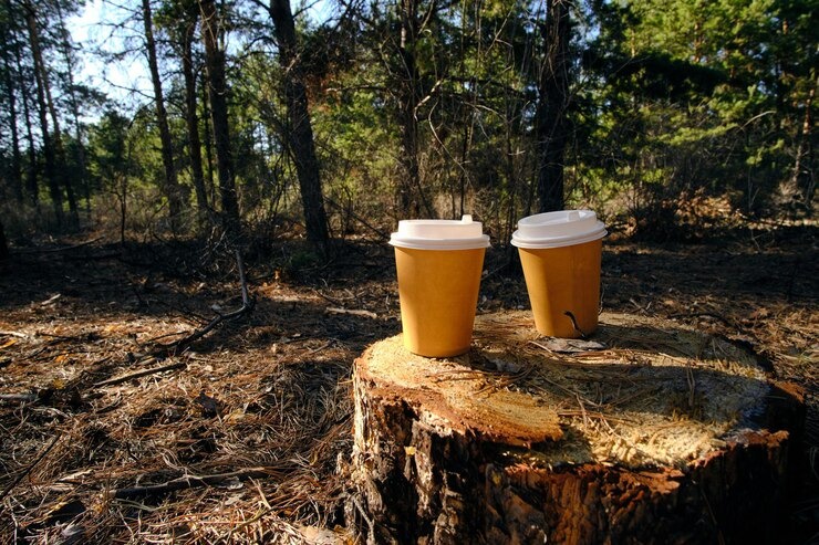 Discover the Perfect Blend of Nature and Comfort at Starbucks in Yellowstone
