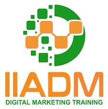 Digital Marketing Skills with IIADM's SEO Course in Delhi