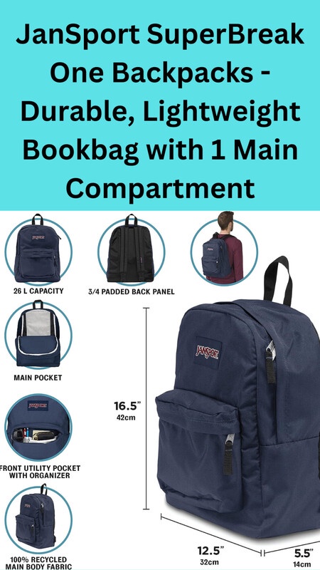 JanSport SuperBreak One Backpacks