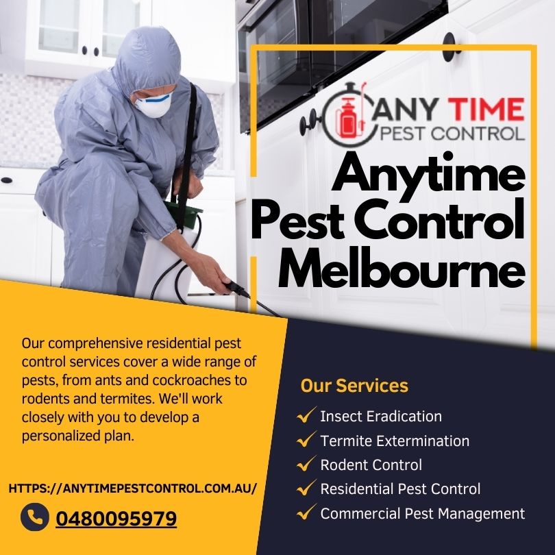 Effective Pest Management Solutions: How Brisbane's Top Services Protect Your Home