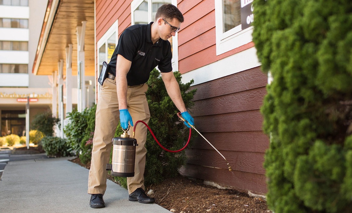 Unlocking a Pest-Free Haven: Optimal Residential Pest Treatment in Ohio