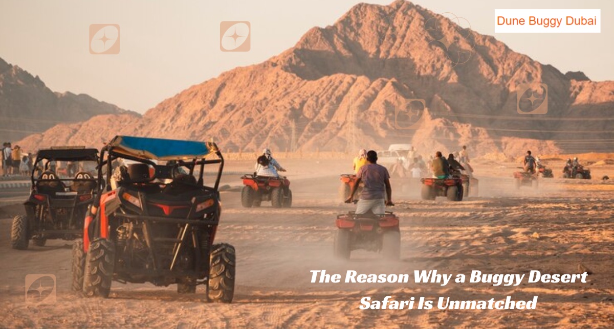The Reason Why a Buggy Desert Safari Is Unmatched