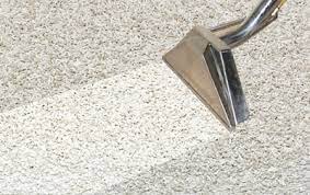 A Step-by-Step Guide to Maintaining Clean Carpets in Armadale