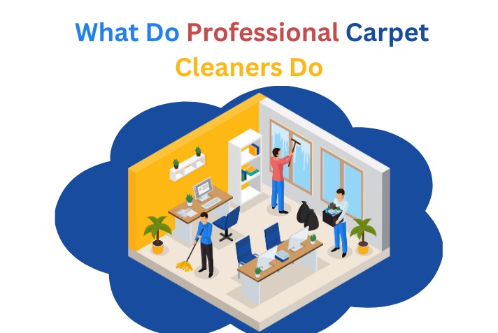 What Do Professional Carpet Cleaners Do