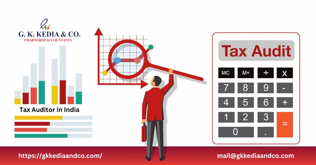 Behind the Numbers Insights from a Tax Auditor in India Context