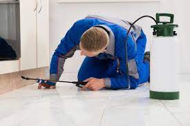 The Ultimate Guide to Keeping Pests at Bay: Exploring Pest Control Services in Burnley