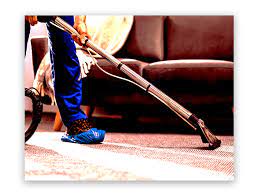The Unexpected Health Benefits of Professional Carpet Cleaning in Jolimont