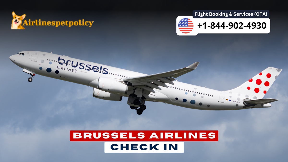 Brussels Airlines Check-In - A Comprehensive Guide