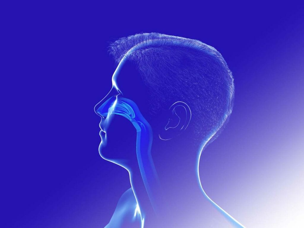 Unlocking the Science of Nasal Breathing Benefits