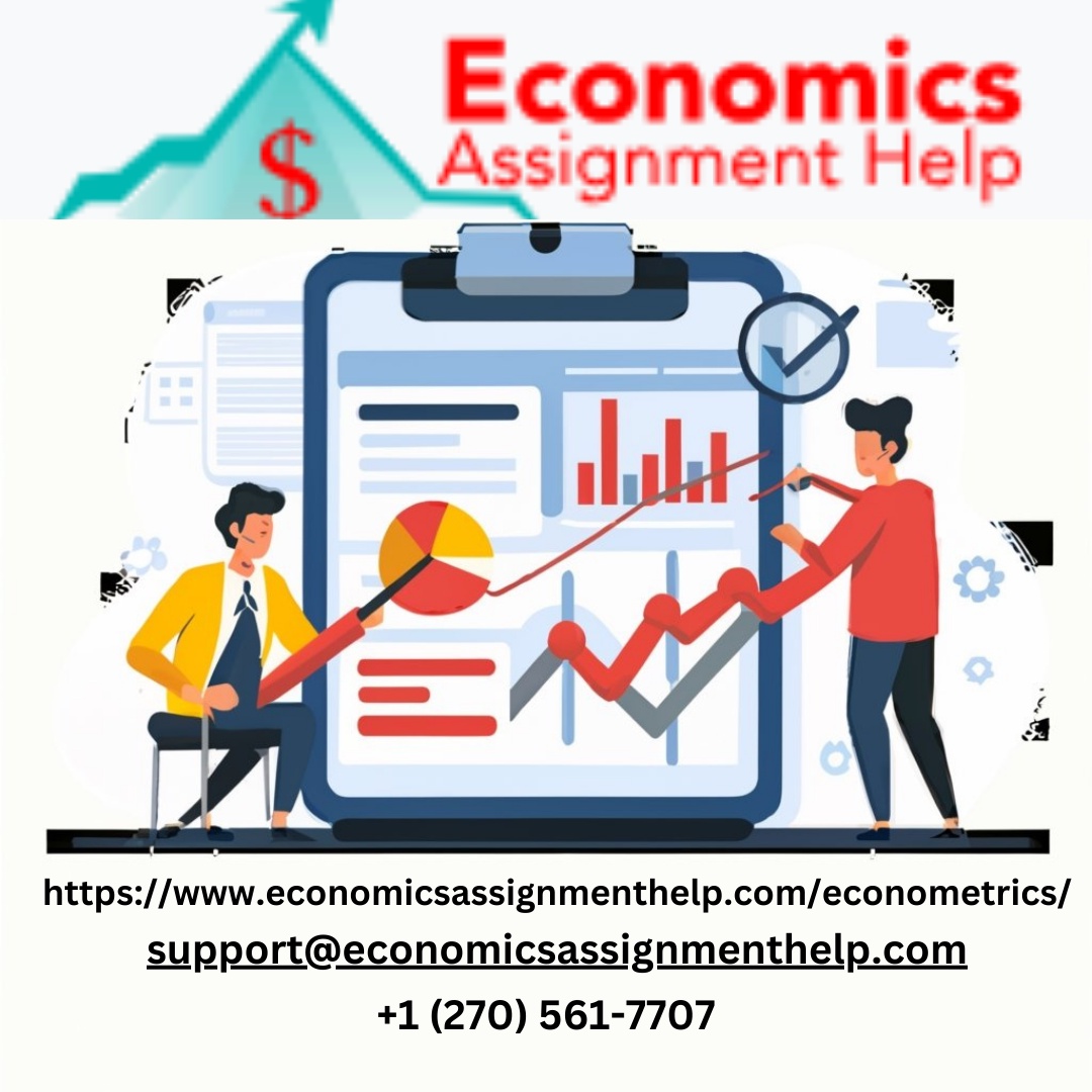 Common Challenges in Econometrics Assignments and How to Overcome Them