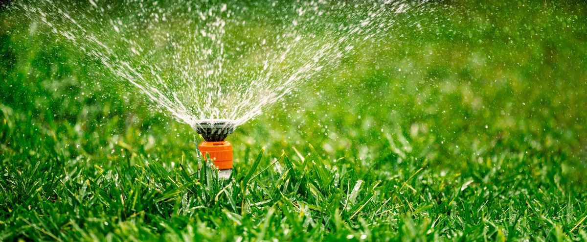 What are the Key Advantages of Opting for Sprinkler Blowouts in Lawn Maintenance?