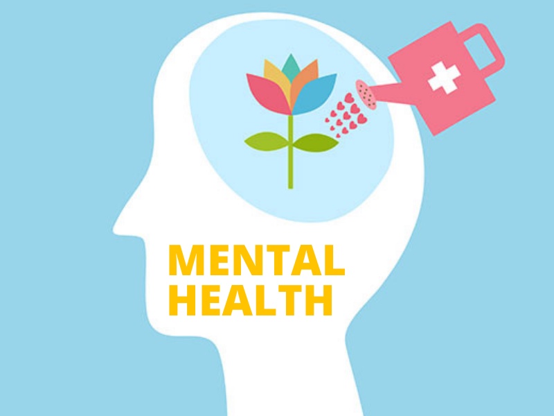 A Beginner's Guide to Mental Health