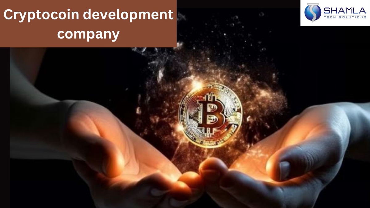 The Future of Cryptocurrency: Behind the Scenes of a Development Company