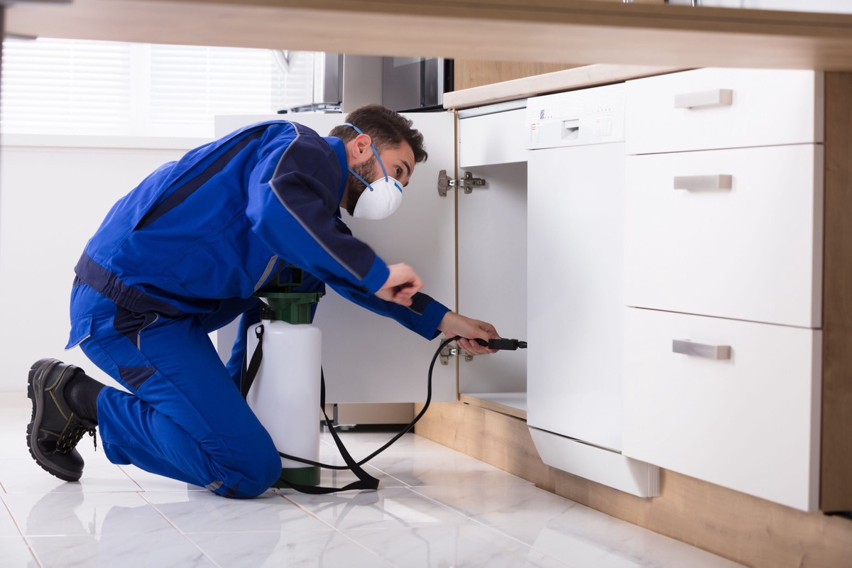 Reason Homeowner Needs to Ask: When Was Your Last Pest Inspection?