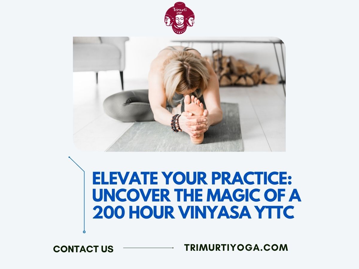 Elevate Your Practice: Uncover the Magic of a 200 Hour Vinyasa YTTC