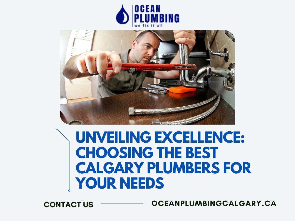 Unveiling Excellence: Choosing the Best Calgary Plumbers for Your Needs