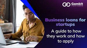 Time to Choose Guide to Startup Business Loans: Startup Dreams Funded