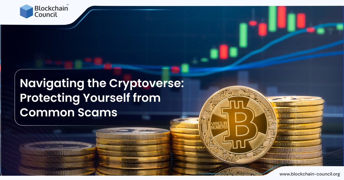 Navigating the Cryptoverse: Protecting Yourself from Common Scams