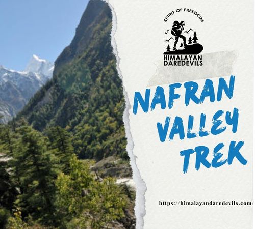 Explore the Stunning Nafran Valley Trek | Himalayan Daredevils