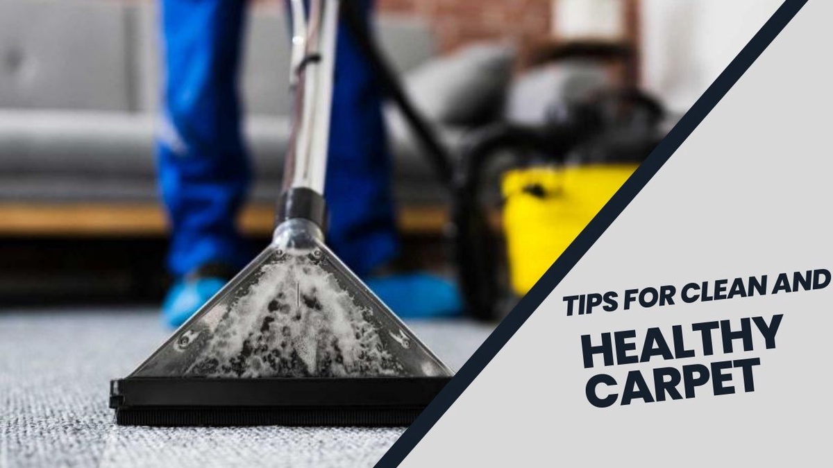 Tips for keeping your carpet clean and healthy