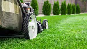 "The Benefits and Considerations of Overseeding Your Lawn in Spring"