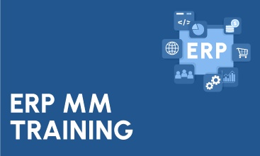 ERP SAP MM Training in Noida