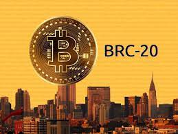 Unveiling the Power of BRC-20 Wallet Development: A Strategic Business Insight