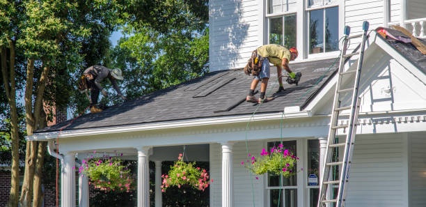 Why Professional Roofing Services Are a Necessity?