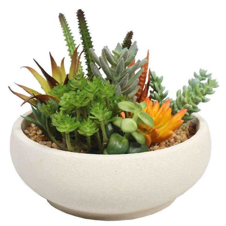 Bringing Nature Indoors: Enhancing Interiors with Artificial Succulent Plants