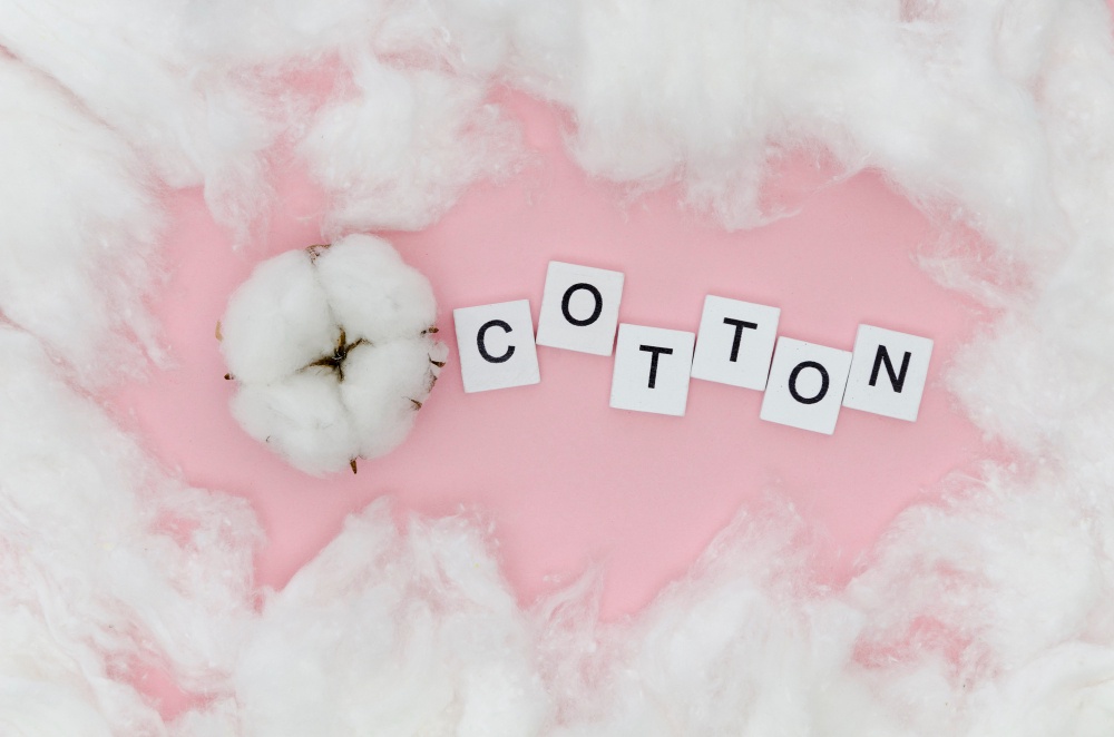 Navigating the Cotton Market: CBOT Cotton Price Today and the Power of ML Forecasting